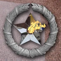 Венок вечный огонь чугун звезда нержавеющая сталь в Грязях (518577)