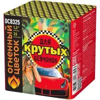 Салют Для крутых девчонок New ОС8326 купить от производителя Огненный Цветок — Грязи